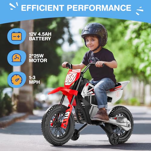 12V Kids Motorcycle with Training Wheels T747280