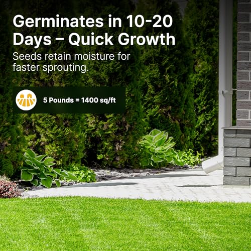 Tall Fescue Grass Seed, 5 lbs H460