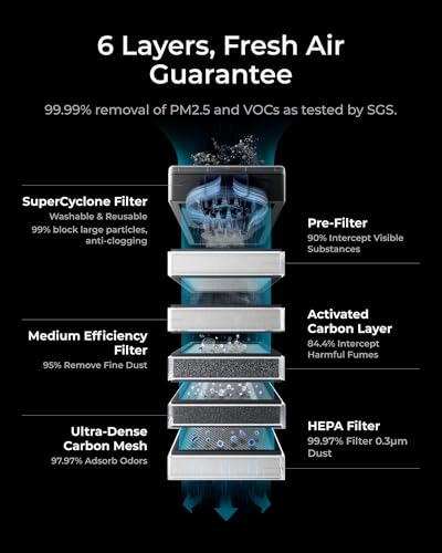 Smoke Purifier with 6-Layer Filtration V493