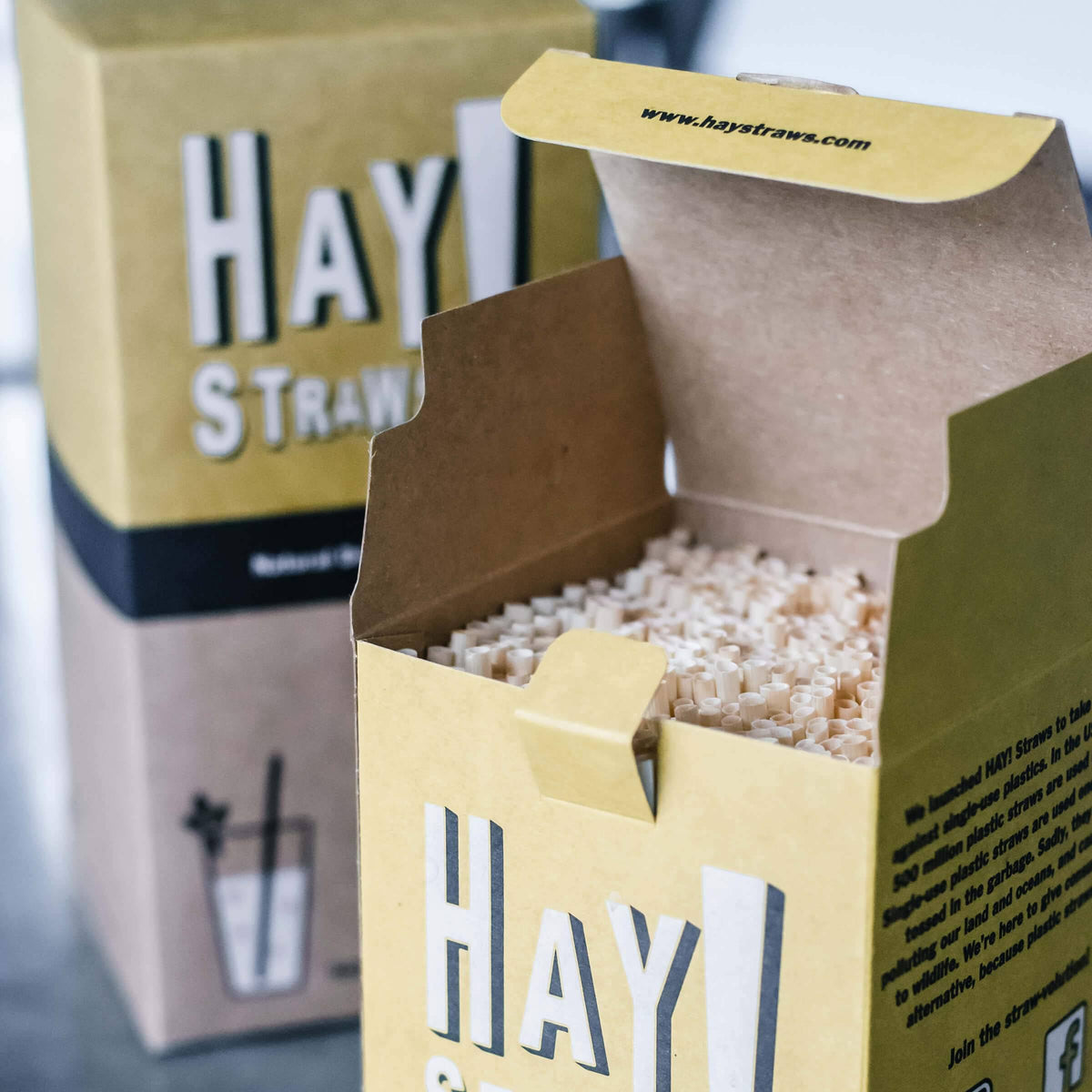 Compostable Tall Drinking Straws 12,000 Straws B3698