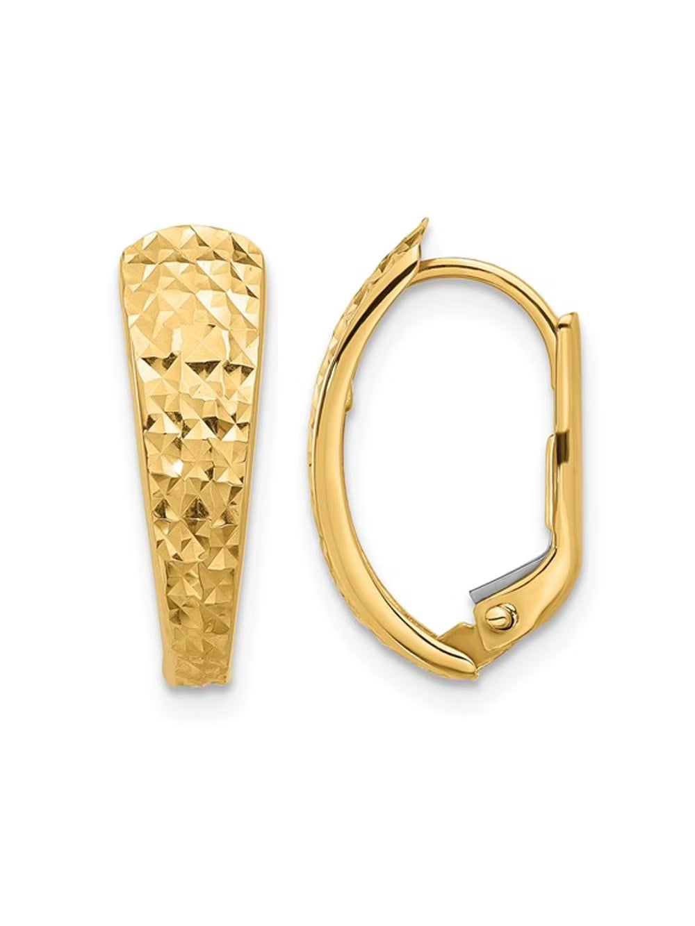 14K Yellow Gold Leverback Hoop Earrings P342