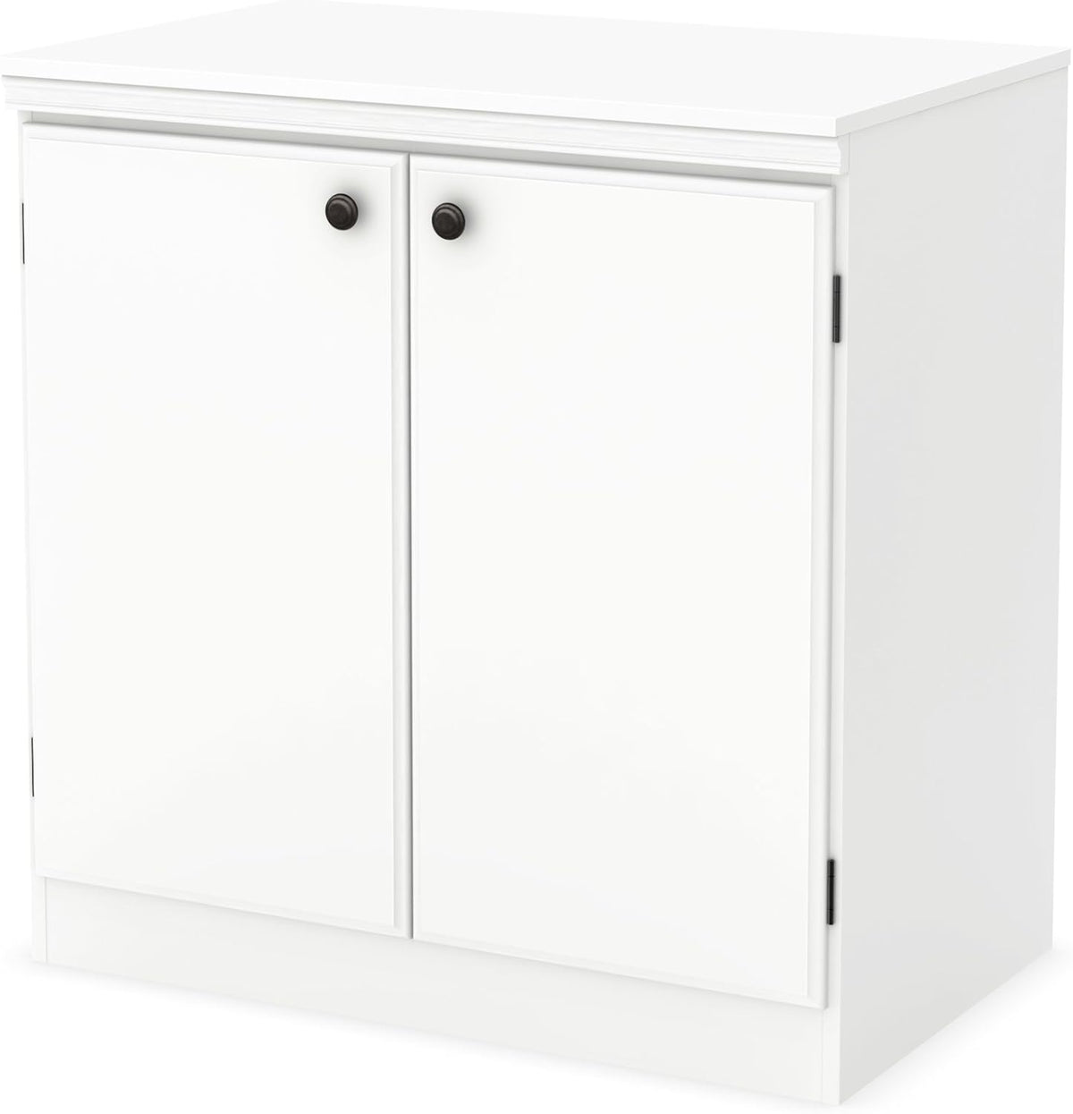 Small 2-Door Storage Cabinet with Adjustable Shelf Y266