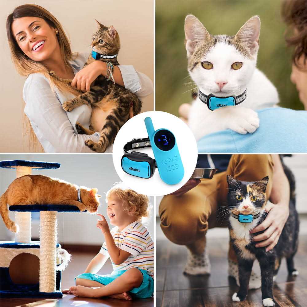Small Cat Shock Collar with Remote U1964