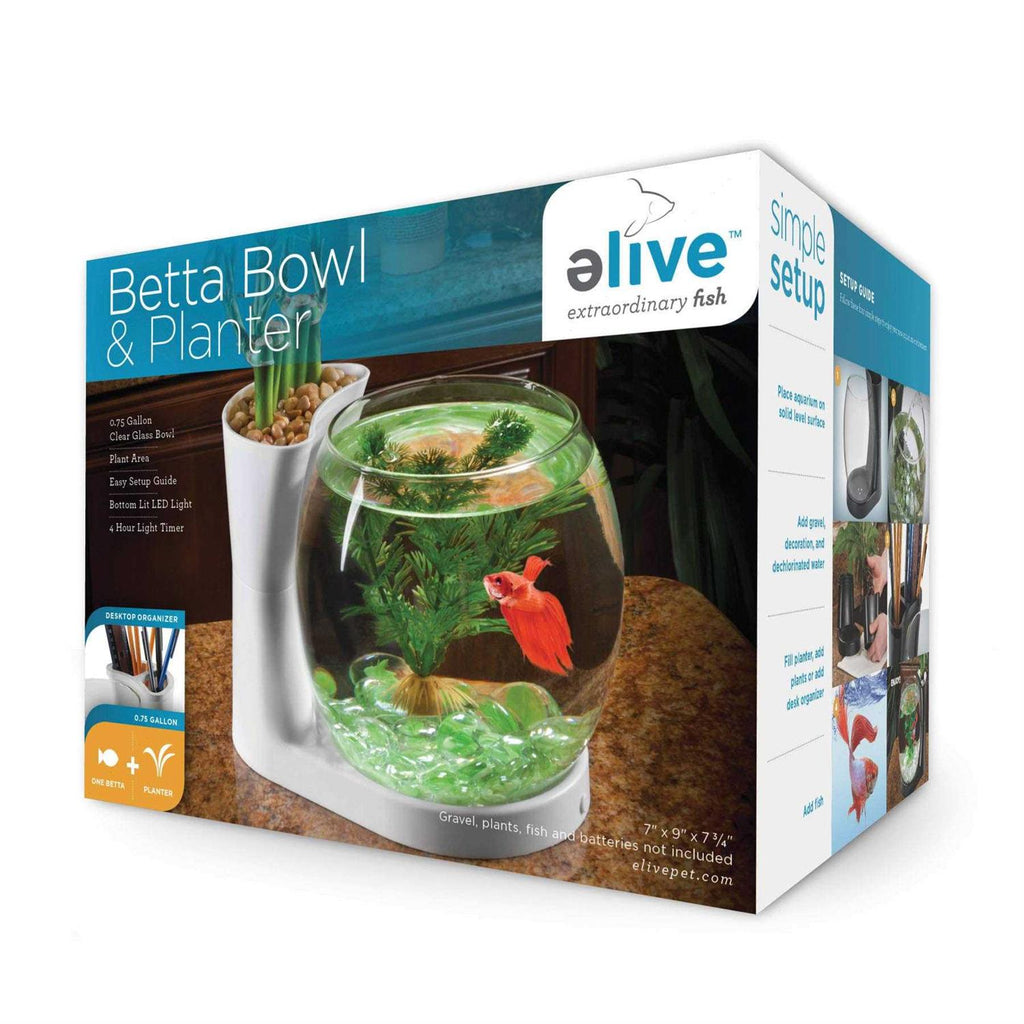 Betta Fish Bowl with Planter I8696