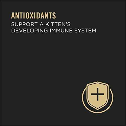 Grain Free Pate Wet Kitten Food X3358