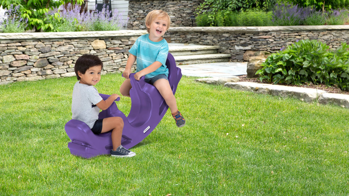 Teeter Totter F24849