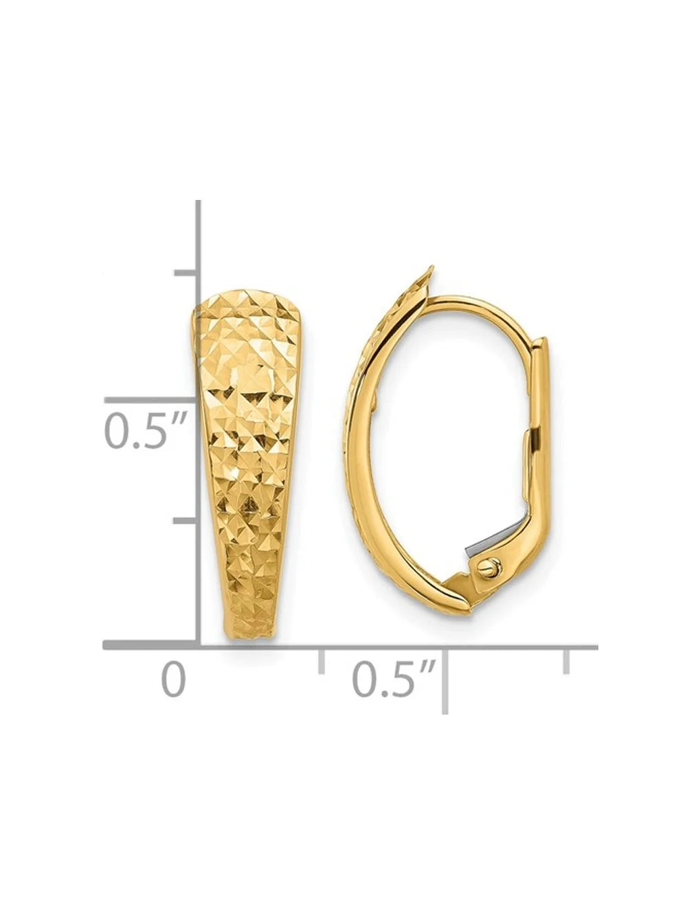14K Yellow Gold Leverback Hoop Earrings P342