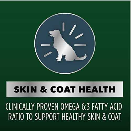 Chicken and Salmon Recipe Dry Dog Food B761294