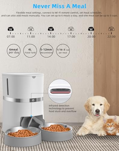 Automatic Cat Feeder with Two-Way Splitter and Double Bowls B592