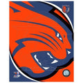 Sports Photo 20 x 24 N526422
