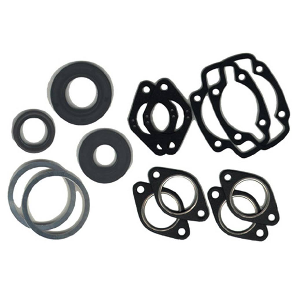 Gasket Set with Oil Seals E783517