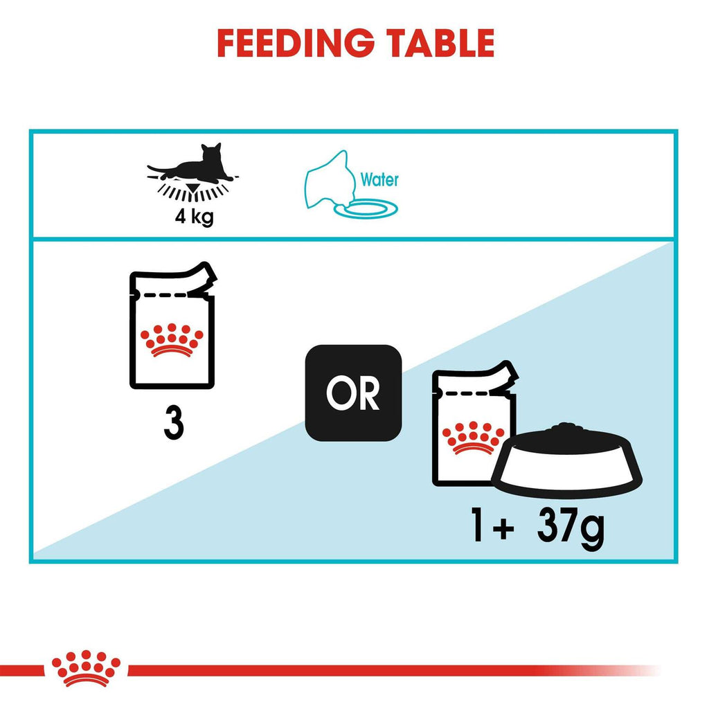 Wet Cat Food O2359