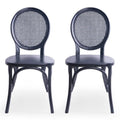 Matte Black Elm Wood Dining Chair Set of 2 U565