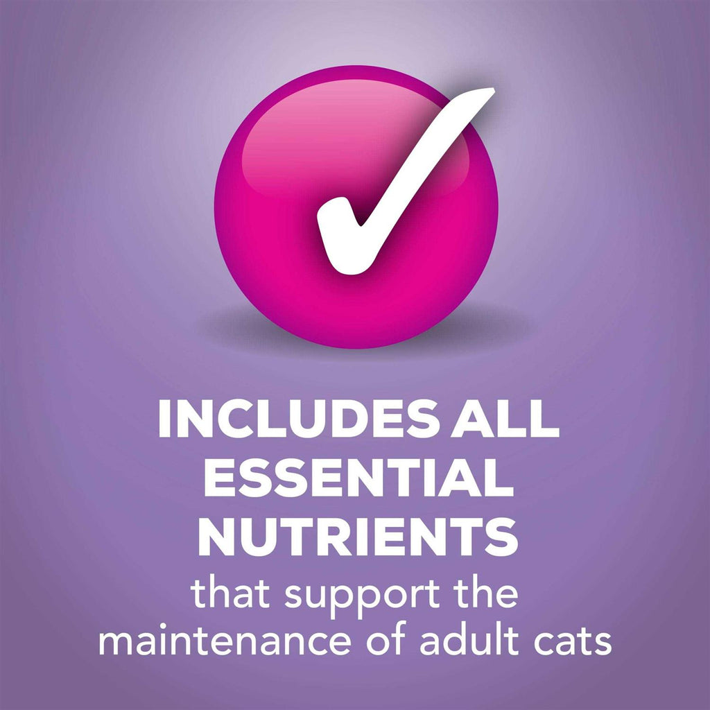Turkey Dinner Wet Cat Food E8879