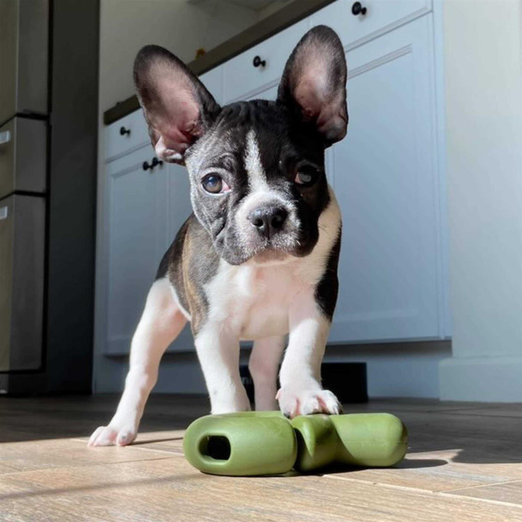 Falcon Dog Toy H790567