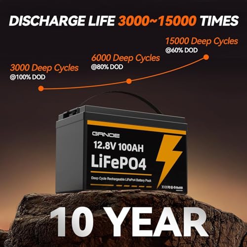 12V 100Ah LiFePO4 Battery Group 31 With Built-in 100A BMS U2021