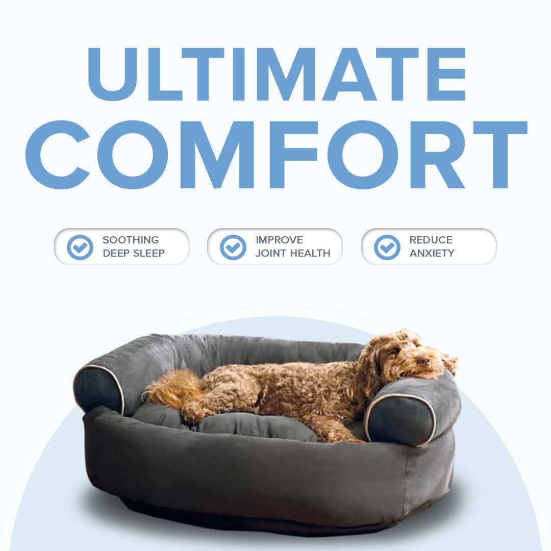 Orthopedic Anti-Anxiety Dog Sofa C340980