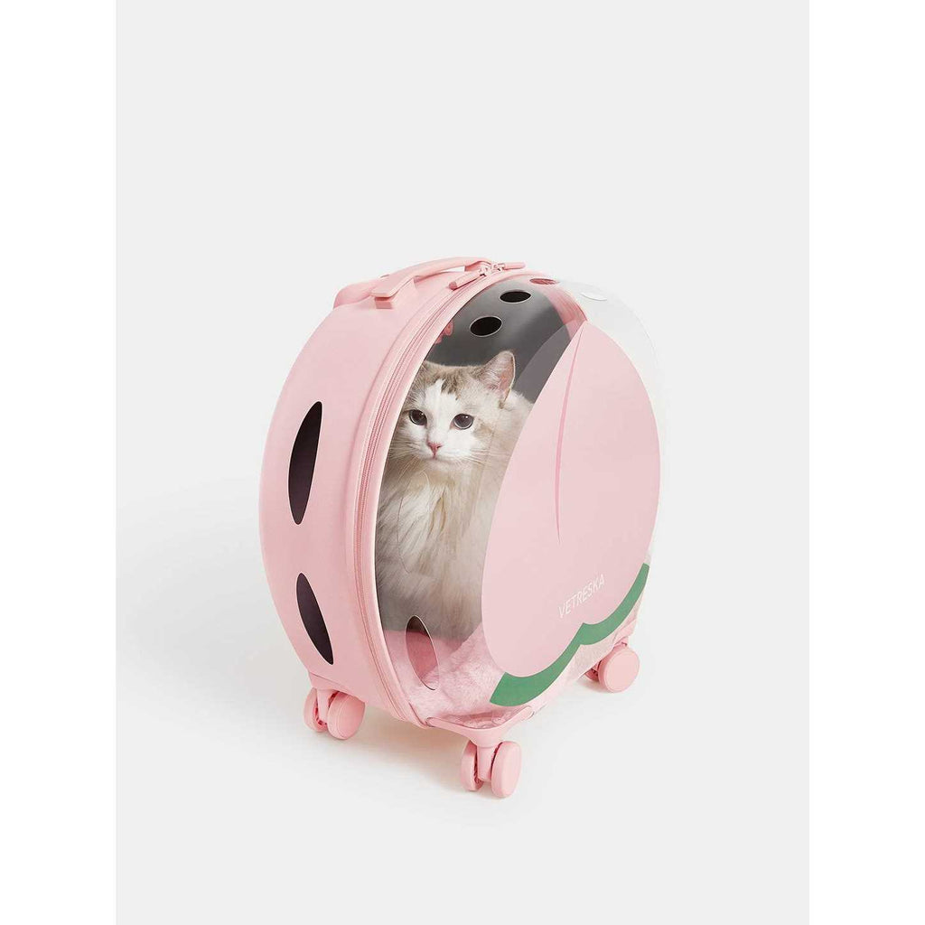 Dog & Cat Carrier Z403020