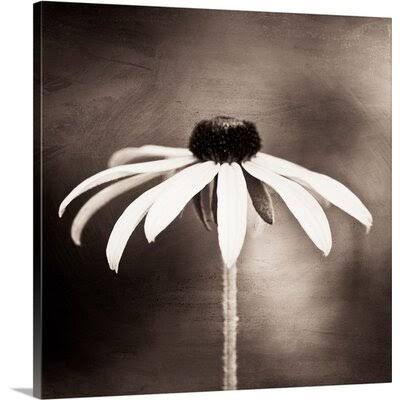 Canvas 24x22 Photographic Print F41169
