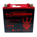 YTX14-BS SLA Powersport Replacement Battery O11641