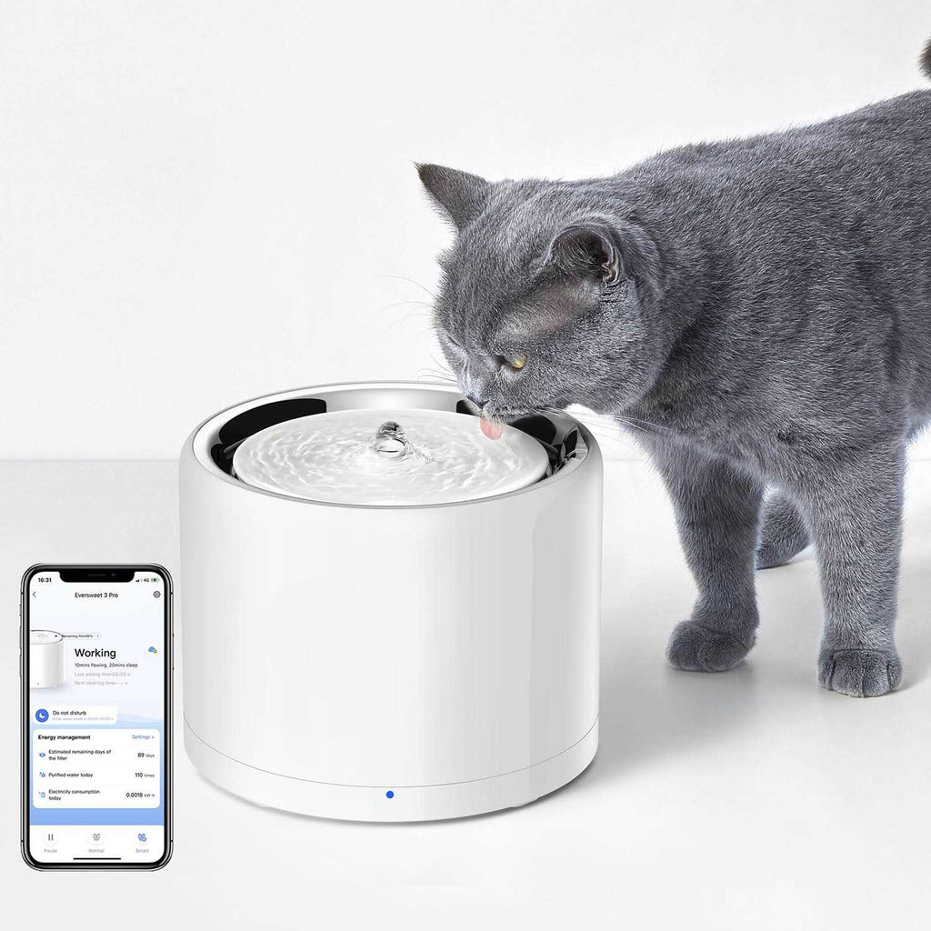 Pet Water Fountain B6120