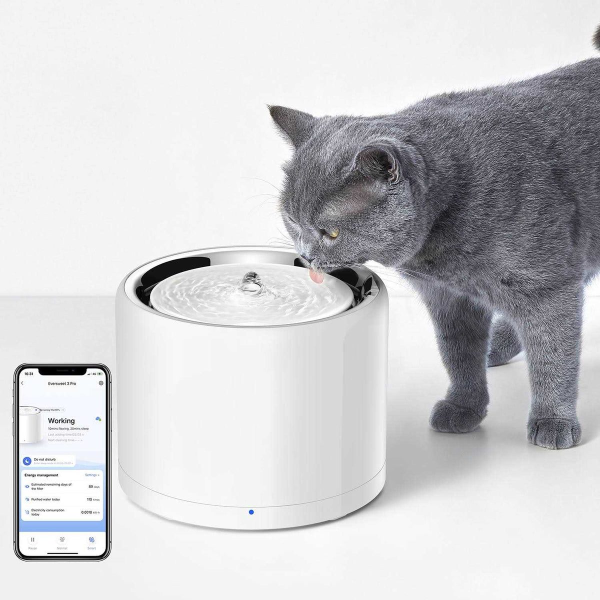 Pet Water Fountain B6120