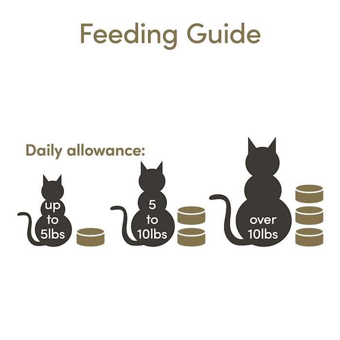 Cat Wet Food in Broth Variety Pack E193