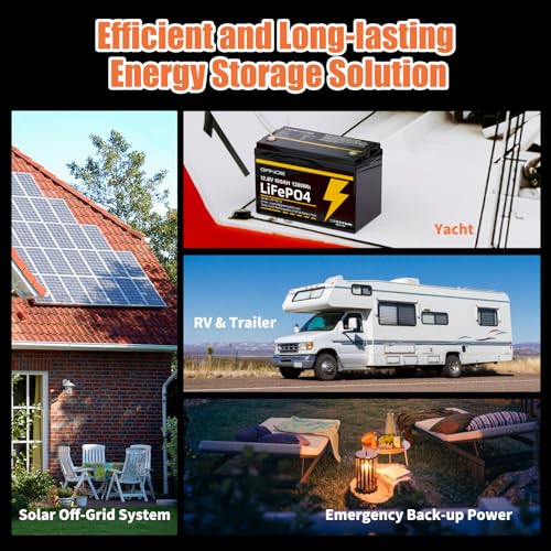 12V 100Ah LiFePO4 Battery Group 31 With Built-in 100A BMS U2021