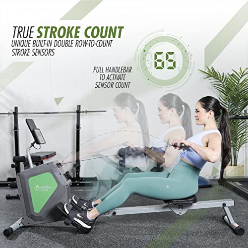 Compact Foldable Magnetic Rowing Machine I968951