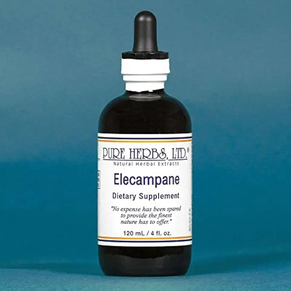 Elecampane O11834