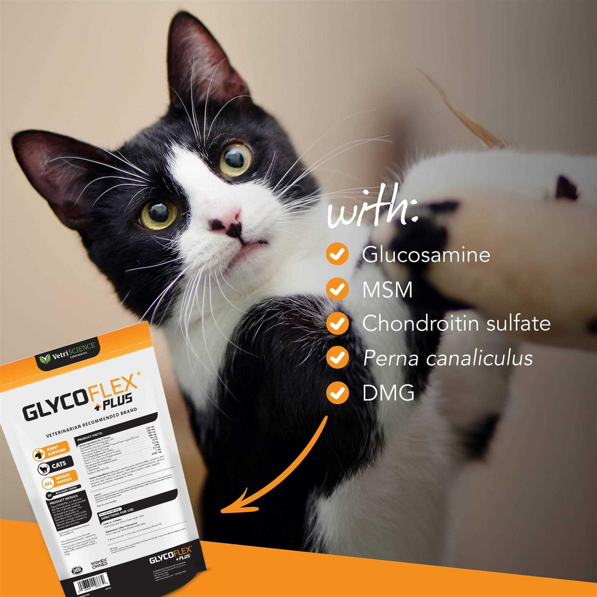 Hip & Joint Support for Cats J608910