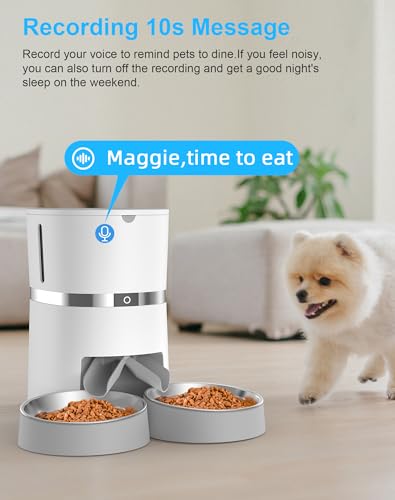 Automatic Cat Feeder with Two-Way Splitter and Double Bowls B592