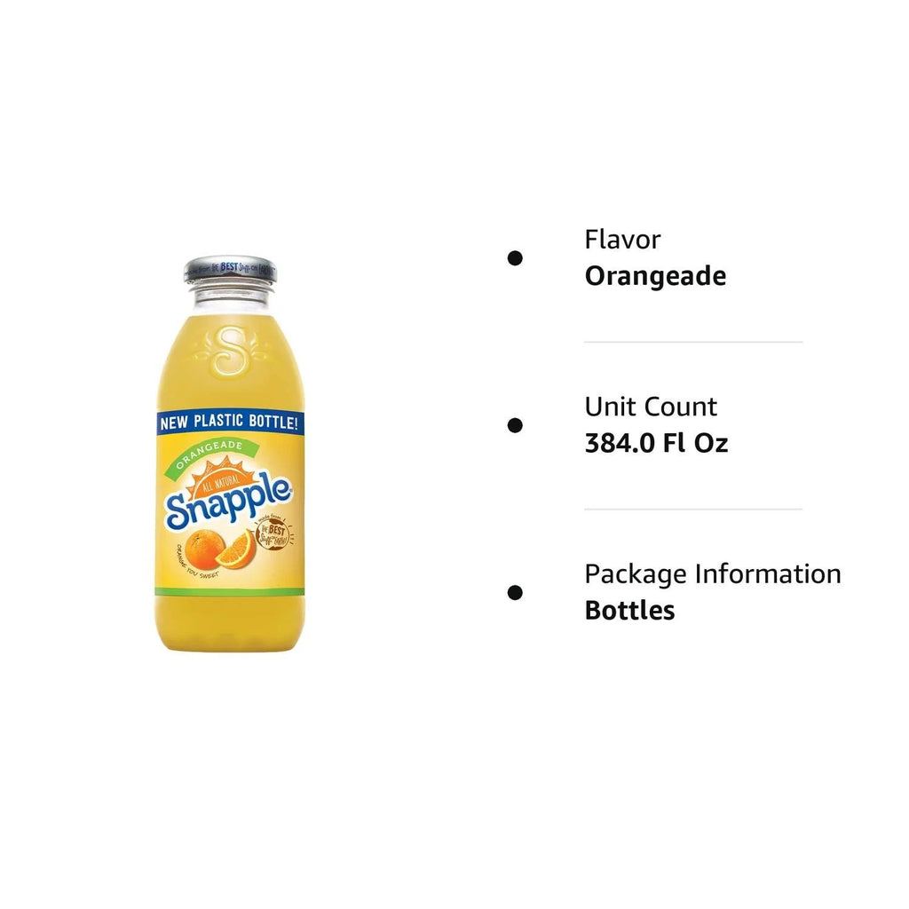 Orangeade 16 fl oz 24 Plastic Bottles K336