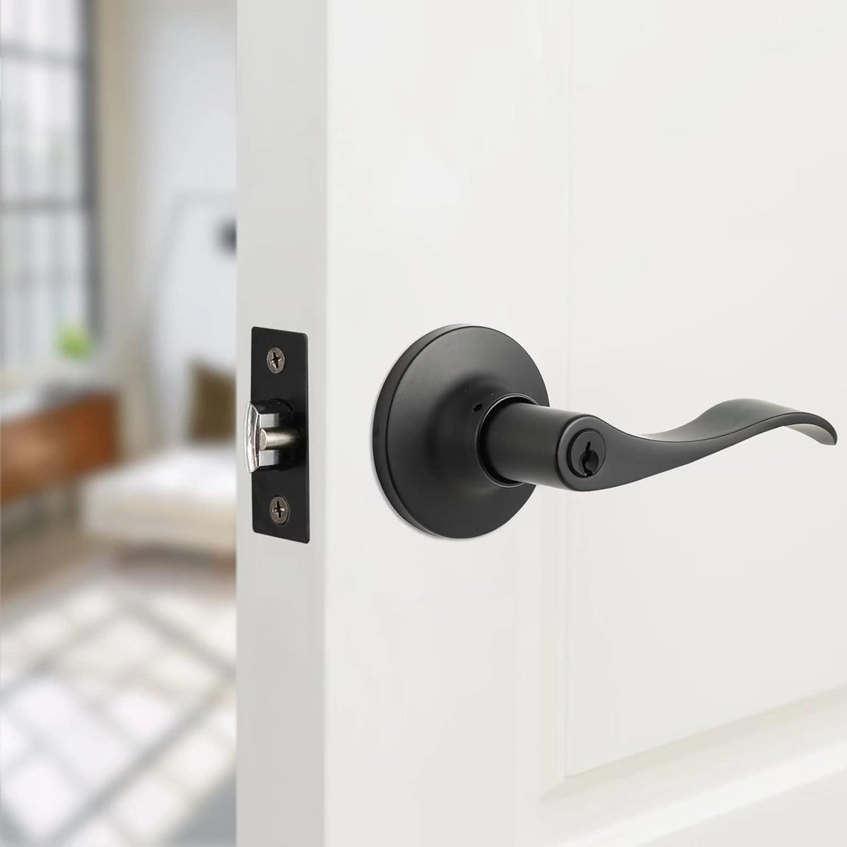 2 Pack Oil-Rubbed Bronze Front Door Handle with Lock and Key Entry Lockset Q27105