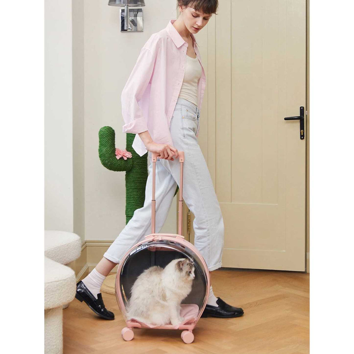 Dog & Cat Carrier Z403020