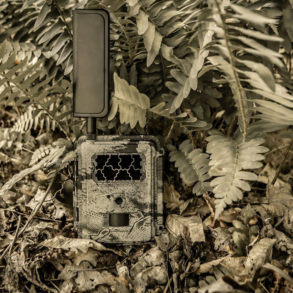 Blackout Cellular Camera 4G-LTE B8643