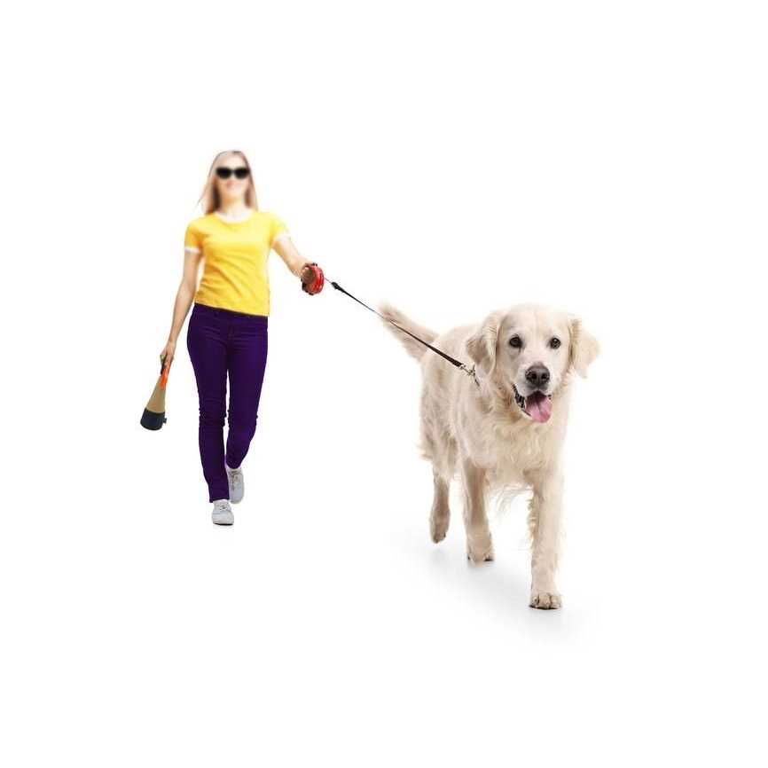 Portable Dog Pooper Scooper O341