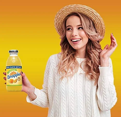 Orangeade 16 fl oz 24 Plastic Bottles K336