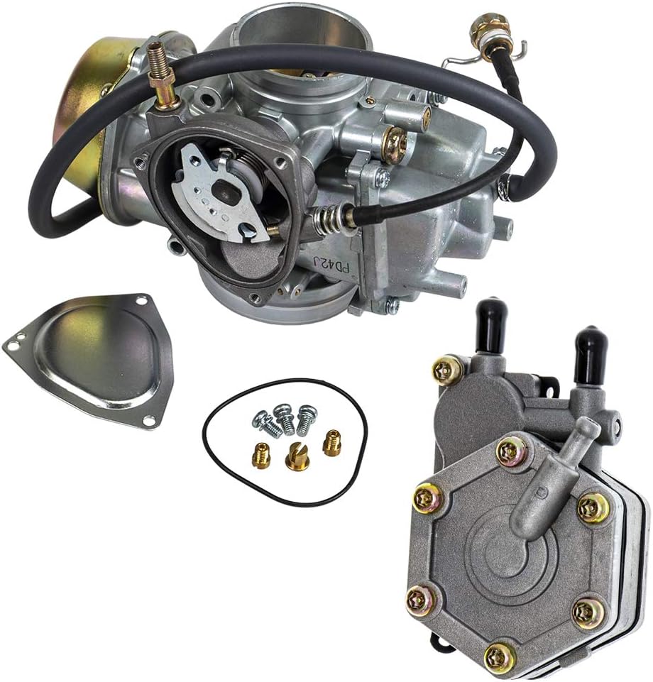 Carburetor and Fuel Pump Kit S362379