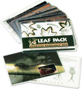 Aquatic Macroinvertebrates Insect Identification Flashcards S27646