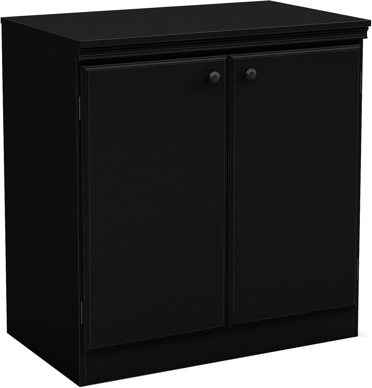 Small 2-Door Storage Cabinet with Adjustable Shelf Y266