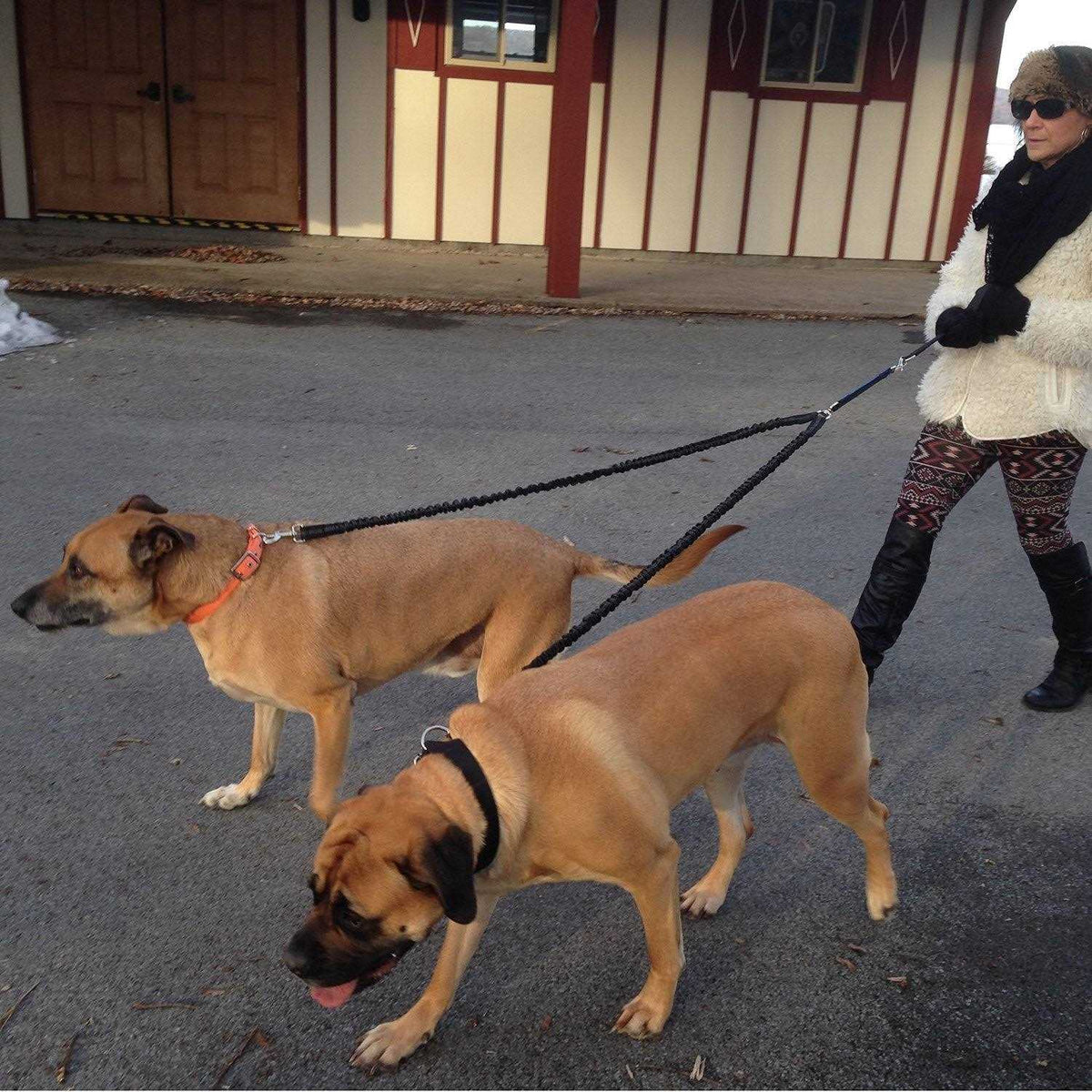 Two Dog Leash C873470