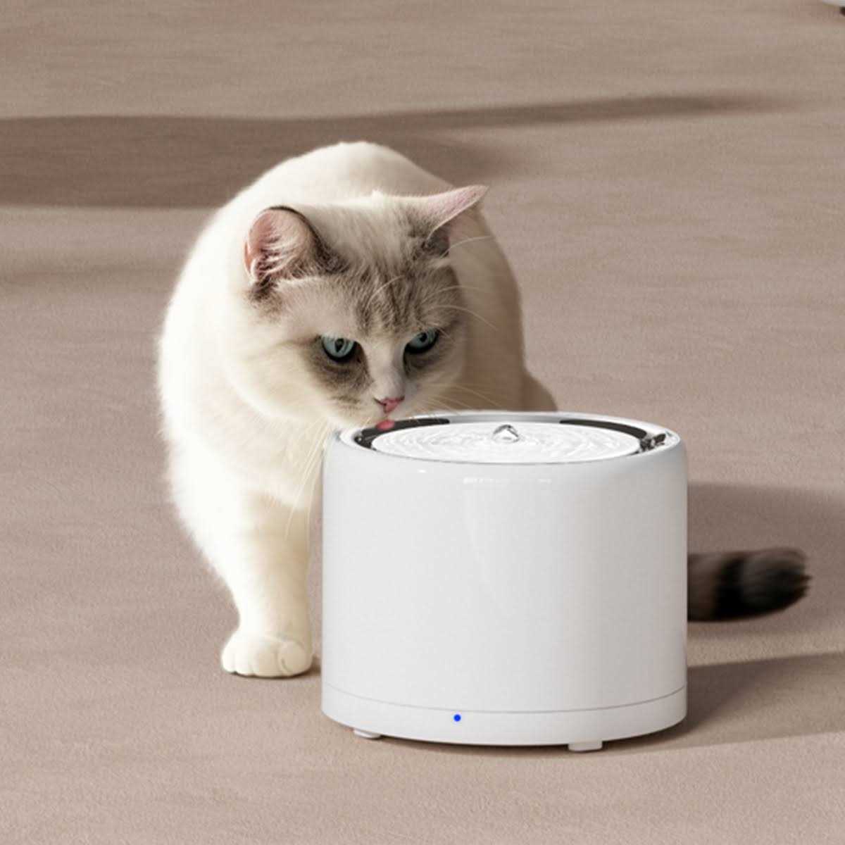 Pet Water Fountain B6120