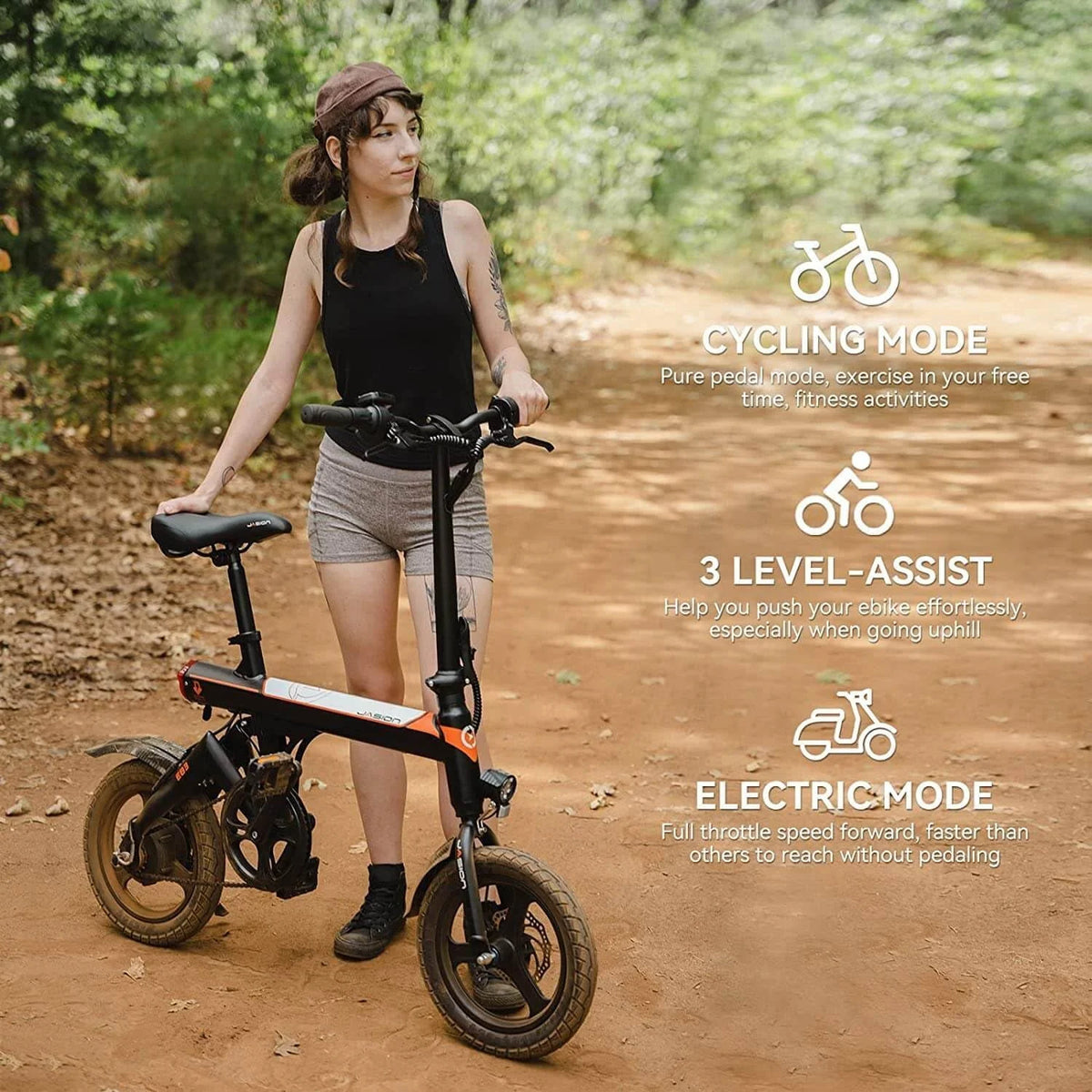 Folding Electric Bike 350W 36V 7.5AH M807879