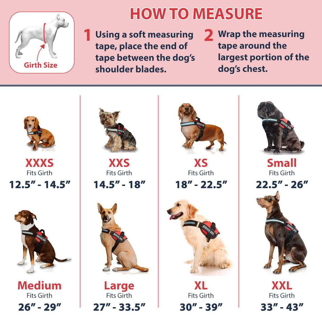 Service Dog Vest with Hook and Loop Straps & Leash Set V81929
