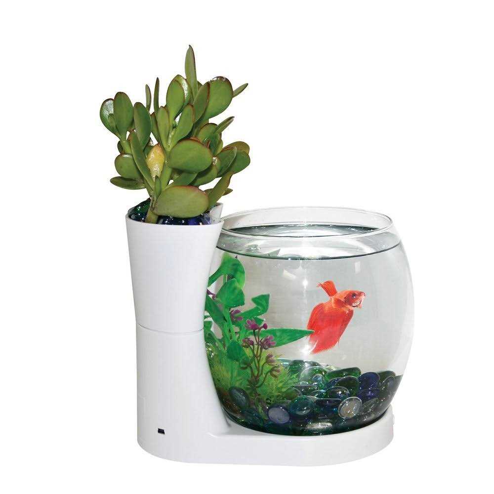 Betta Fish Bowl with Planter I8696