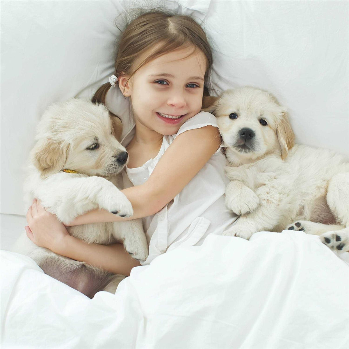Waterproof Pet Blanket Throw X159