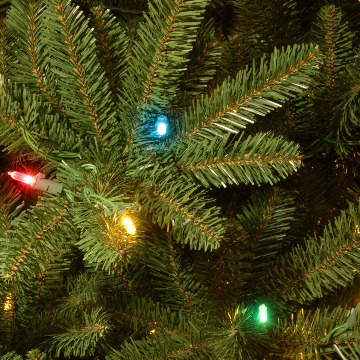 6.5 ft Natural Fraser Medium Fir Tree with Multi-Color Lights C162231