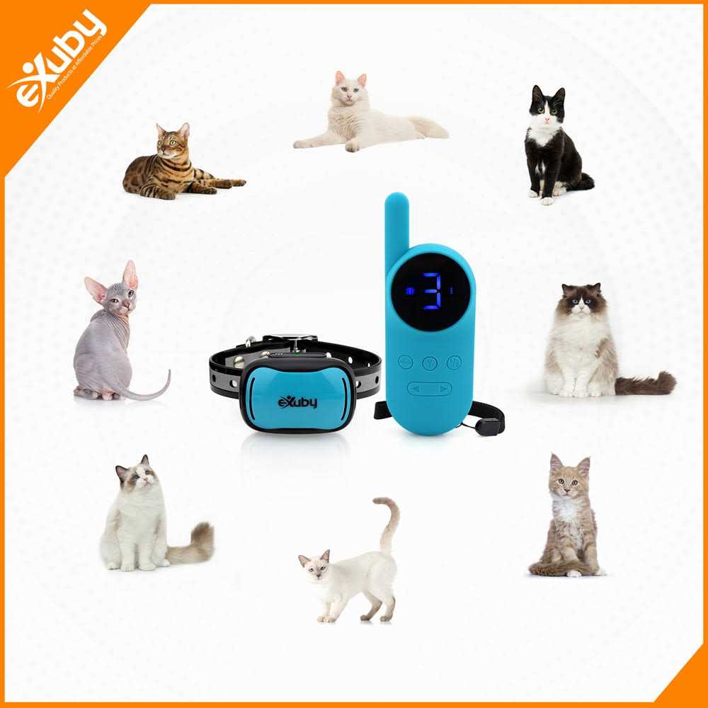 Small Cat Shock Collar with Remote U1964