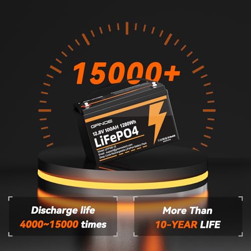 12V 100Ah LiFePO4 Battery Group 31 With Built-in 100A BMS U2021
